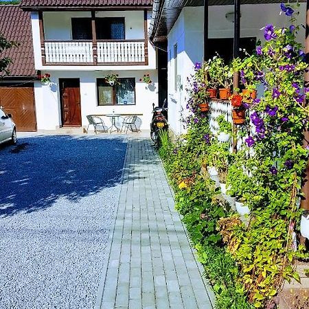 Casa Sallai Διαμέρισμα Sovata Εξωτερικό φωτογραφία