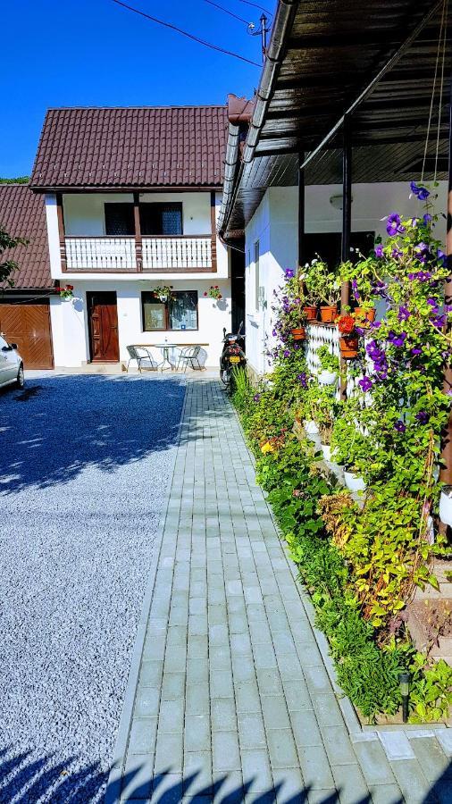 Casa Sallai Διαμέρισμα Sovata Εξωτερικό φωτογραφία